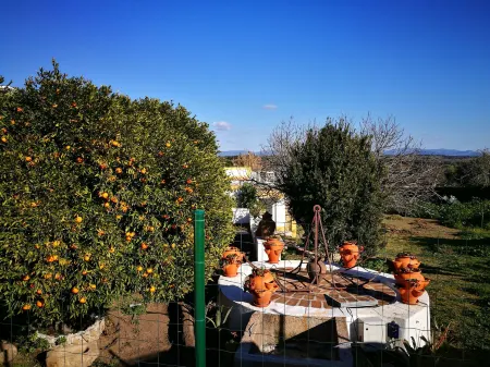 Casa do Peso Отели в г. Alter do Chao