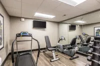 퀄리티 인 플레전트 뷰