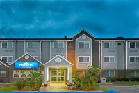 Microtel Inn & Suites by Wyndham Raleigh Durham Airport Hotels in Morrisville