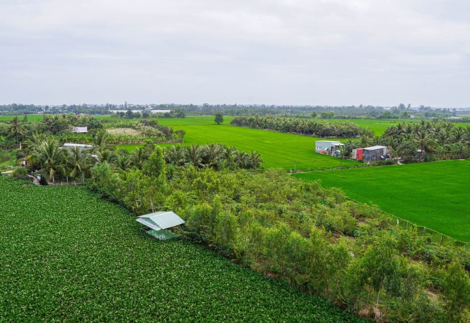 3. 리틀 사이공 호..