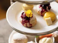 Wingrove House Hotels in Polegate