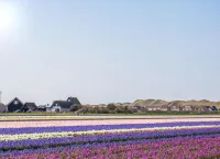 Apartment in de Koog Near Texel Beach Hotels in De Koog