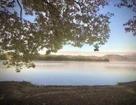 Cozy Studio Cottage with shared private beach on Newfound Lake