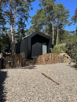 Cabin East in the forest & sea!