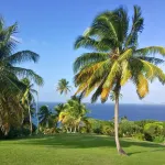 Garden Cottage with sweeping lawn view to the Caribbean Sea and islands Hotels in Sauteurs