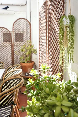 Hotel de France Отели рядом с достопримечательностью «Camping Paradis Soleil d'Oc»