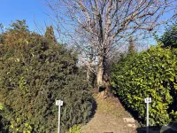 Cozy and complete apartment in Formigine, 10 min from Modena and Maranello.