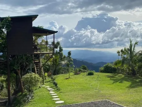 Treehouse on a Coffee Farm with Ocean View