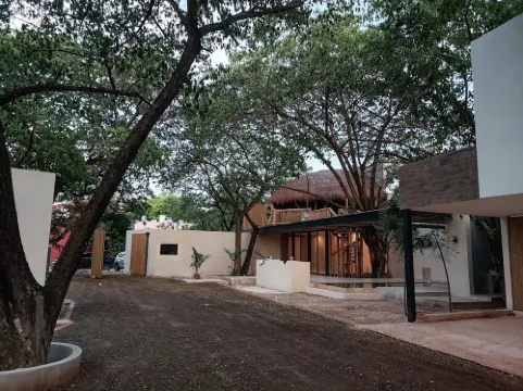 Amazing apartment with private terrace in Mérida