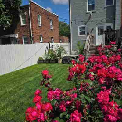 Cozy Basement Suite with Outdoor Oasis in NE Washington, DC! Hotel Exterior
