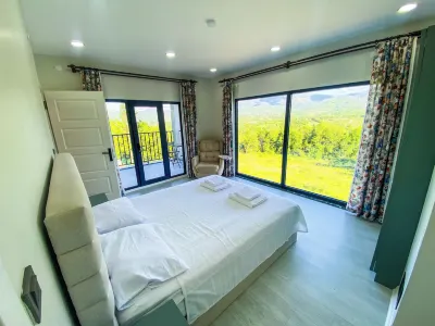 Küre Villa Hotels in 