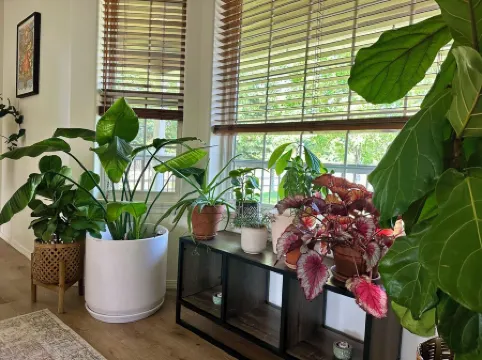 Stay between Glacier and Whitefish-cozy stylish