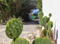 Vacation House Bed&Milk 3 Apartament in villa Puglia Taranto near San Vito