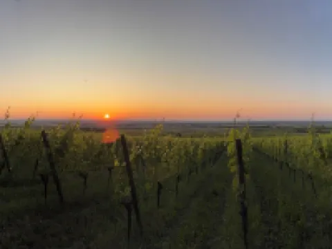 Panorama 180° Hotels in Kitzingen