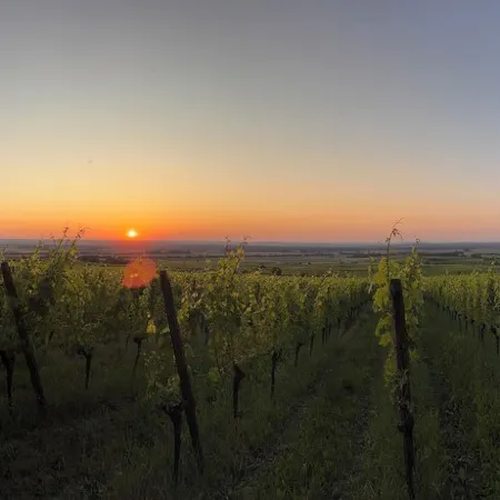 Panorama 180°