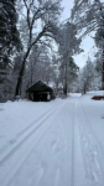 Oak Creek Retreat - Cozy Cabin by the River. Fish Hike Swim Pets OK