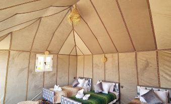 Desert Queen Camp