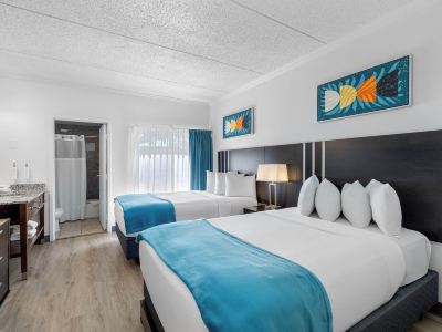 Oasis Bay Suites, Tampa, Busch Gardens, USF