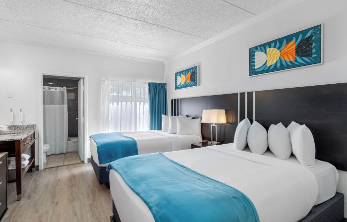 Oasis Bay Suites, Tampa, Busch Gardens, USF