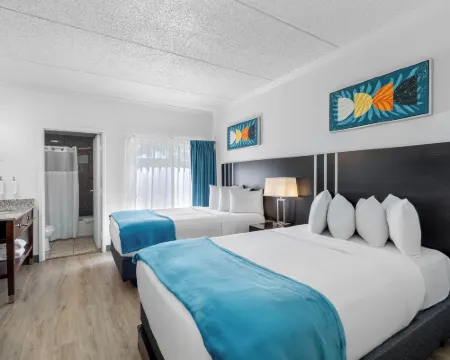 โอเอซิส เบย์ สวีทส์, แทมปา, บุชการ์เด้นส์, ยูเอสเอฟ โรงแรมในแทมปา