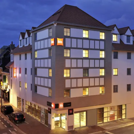 Ibis de Panne