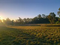 Wake with the Kangaroos: Sunrise Cabin Escape in Mudgee