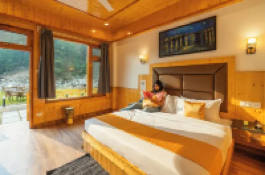 The Social Stays Kasol Formerly ArtBuzz