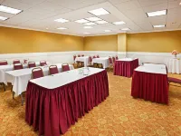 Holiday Inn 約翰遜城 約翰遜城酒店