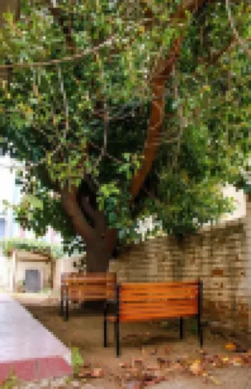 โฮสตัล เอนเตรโอเรียนเตส โรงแรมใน