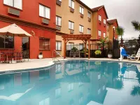 Comfort Inn & Suites IAH Bush Airport - East - Cheap