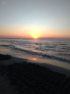 2 rooms apartment, max 5 adults, splendid view on the beach and the sea
