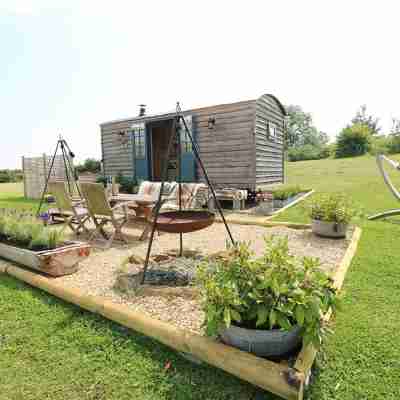Shepherd's Hut- Hot Tub- Wellness Spa- Wood Burner Rooms