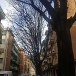 Complete apartment adjacent to historic center