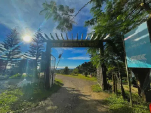 1193 Pinehall Farm Rizal