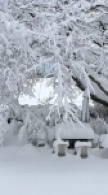 民宿 Akema之森 西伯郡酒店