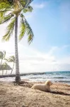 Thatch Caye Resort a Muy'Ono Resort - Strand
