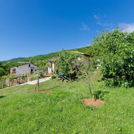Apartments Ilinka