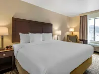 Comfort Inn & Suites Pittsburgh-Northshore Hotels in Pittsburgh