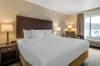 Comfort Inn & Suites Pittsburgh-Northshore
