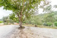 Paraíso rural em Bucelas