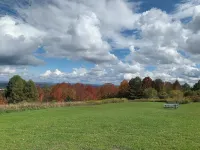 Cozy Cabin Sleeps 8 on ATV Trail in Turin NY