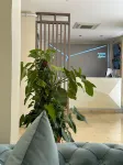 STAR INN - 2-Star