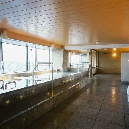 Toyama Manten Hotel