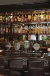 班克斯阿姆斯酒店 - 酒吧