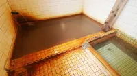 Sanei-so - Hot Springs