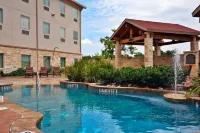 Holiday Inn Express SALADO-BELTON by IHG - Wifi
