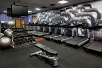 Marriott Cincinnati Airport - Gym