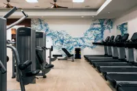 Wailea Beach Resort - Marriott, Maui - Gym