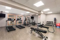 Wyndham Garden Summerville - Gym