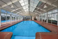 Wyndham Garden Manassas - Pools